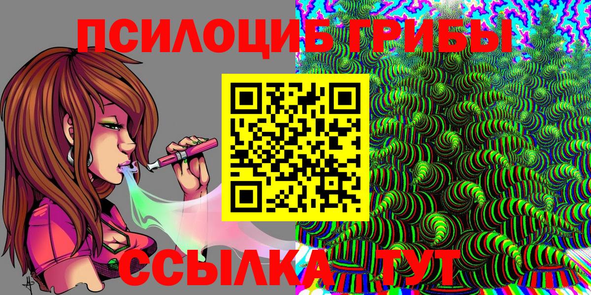 Галлюциногенные грибы Psilocybe Костомукша